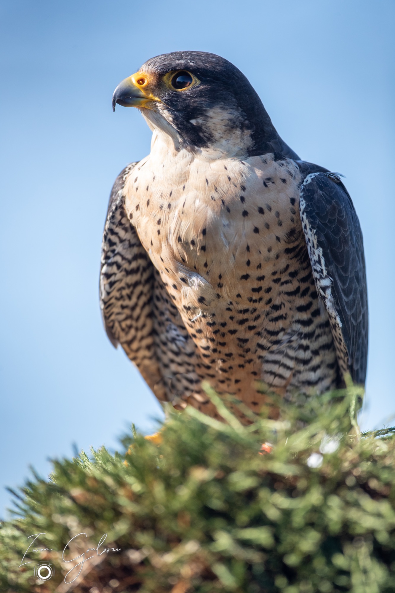 04 maart 2022 143723 1DX43567